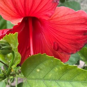 Meet your Posher, Marla